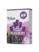 Peelz Fruit Wraps - Blackberry