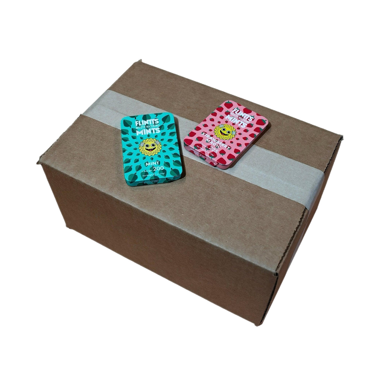 Flintts Mints Wholesale Master Case 2 Flavors