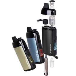 Pulsar Chorus Vape Pen